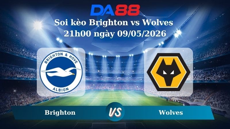 DA88 Nhận định soi kèo Brighton vs Wolves 21h00 ngày 09/05/2026 – Ngoại hạng Anh