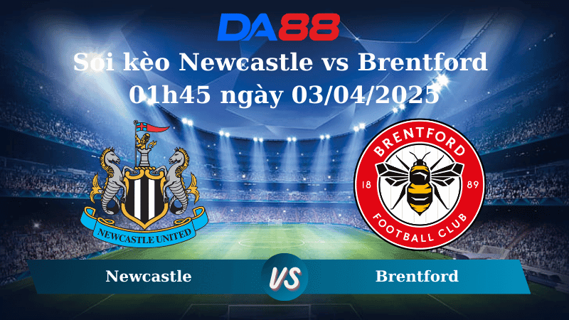 DA88 Nhận định soi kèo Newcastle vs Brentford 01h45 ngày 03/04/2025 - Ngoại hạng Anh