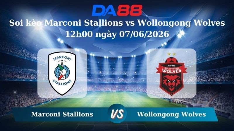 DA88 Nhận định soi kèo Marconi Stallions vs Wollongong Wolves 12h00 ngày 07/06/2026 – Giải hạng Nhất Quốc Gia Úc