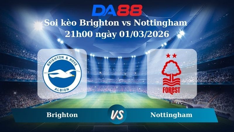 DA88 Nhận định soi kèo Brighton vs Nottingham 21h00 ngày 01/03/2026 – Ngoại hạng Anh