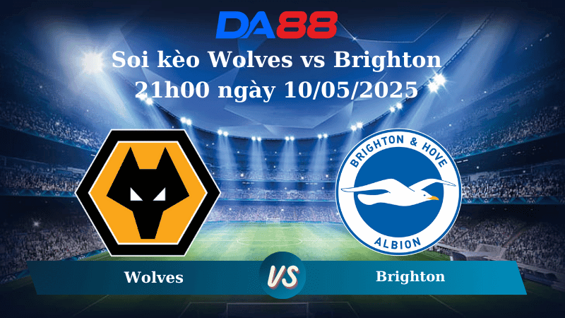 DA88 Nhận định soi kèo Wolves vs Brighton 21h00 ngày 10/05/2025 – Ngoại Hạng Anh