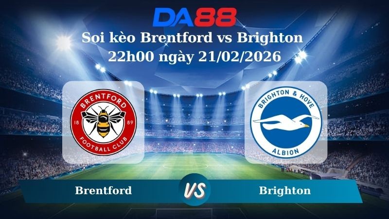 DA88 Nhận định soi kèo Brentford vs Brighton 22h00 ngày 21/02/2026 – Ngoại hạng Anh